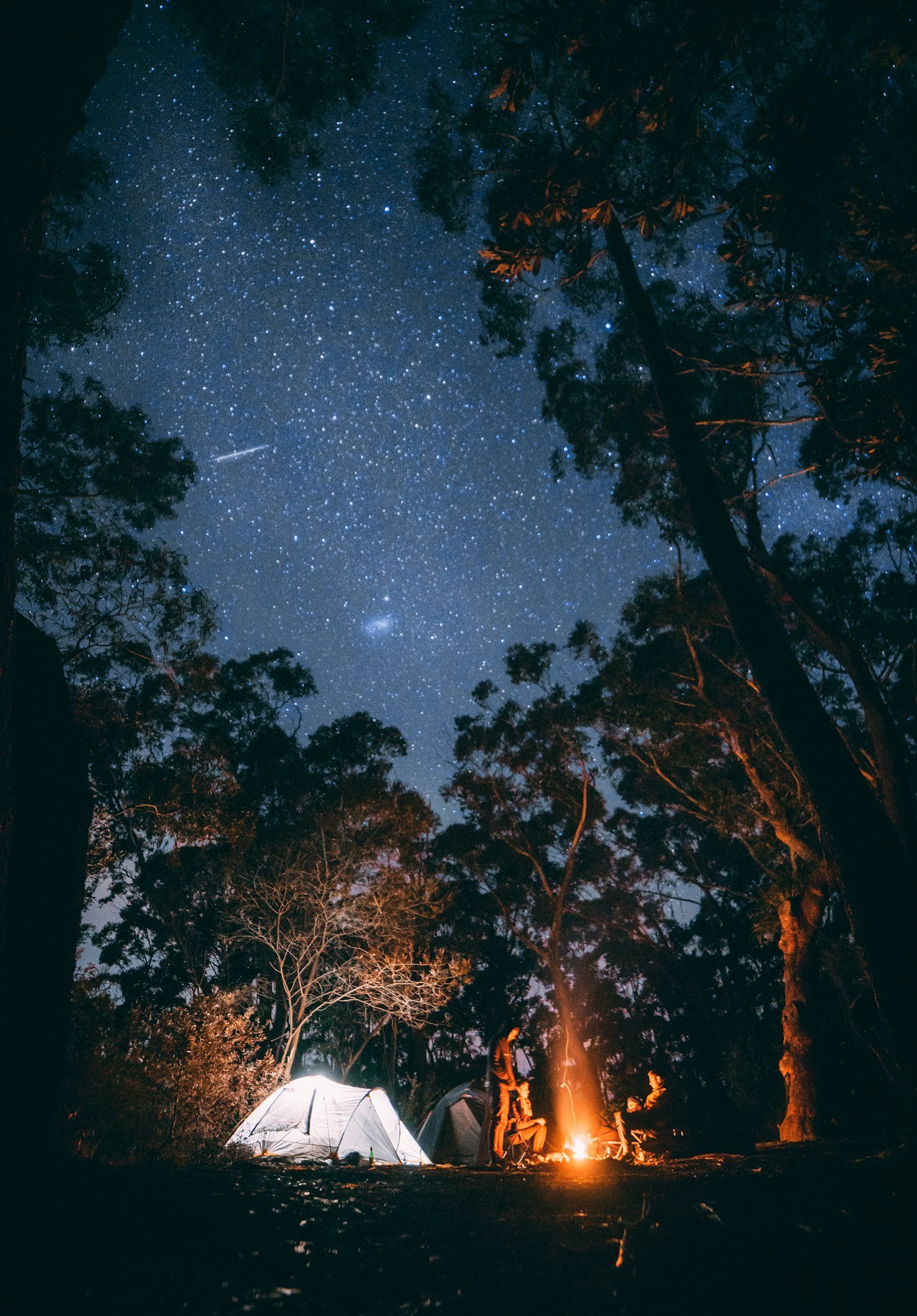 Kamp ateşi